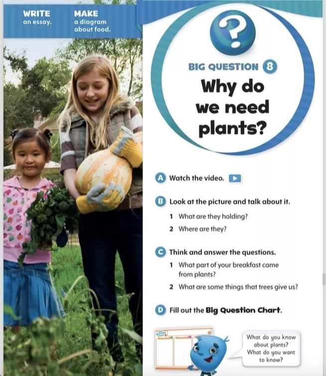 名师剑桥行 | 教师必读之clil教学法