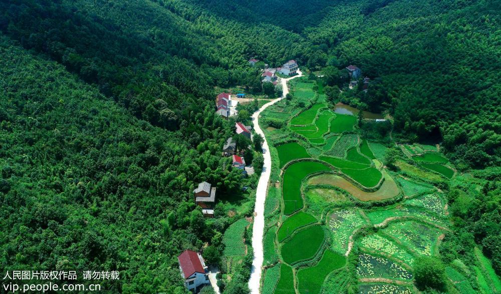 守护"聚宝盆" 植绿"金银山"