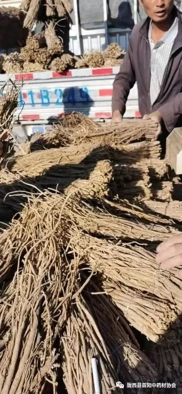 黄芪多少钱一斤 来自搜狐网