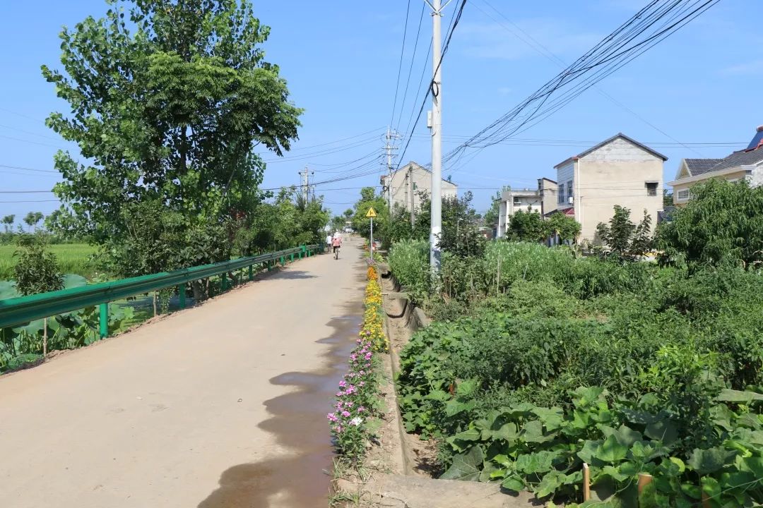 枝江新时代文明实践龚桥村在人居环境整治中种下别一样的美丽