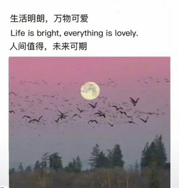 随遇而安是什么意思及下一句 41f2c72464154822ae8f226caac5b603.jpeg