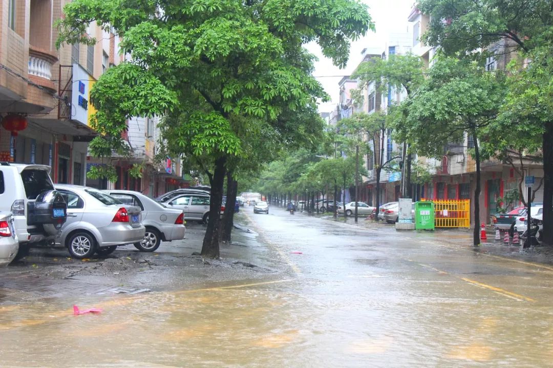 红色预警!阳春大暴雨水浸街又刷爆了朋友圈