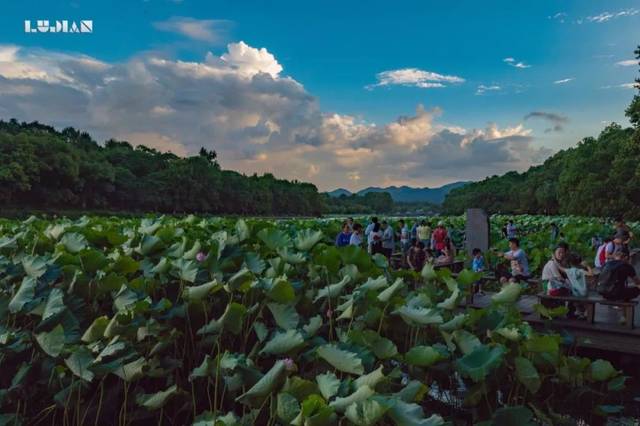 西湖太美，無論春夏秋冬，有幾個景點總是人山人海 旅遊 第5張