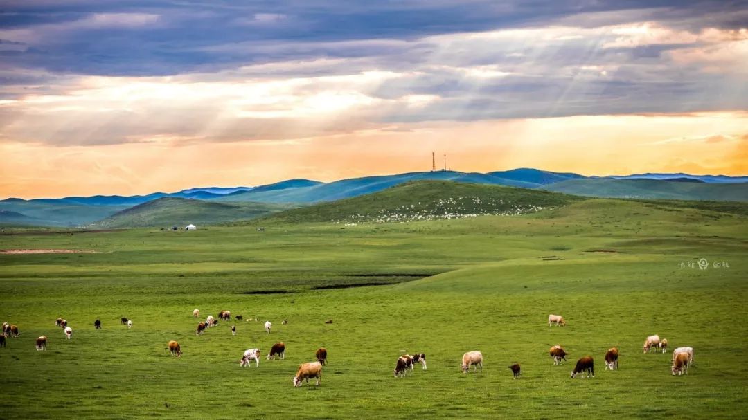 骑行在通辽到锡林郭勒500km的科尔沁草原景观大道上,誉州北,可汗山