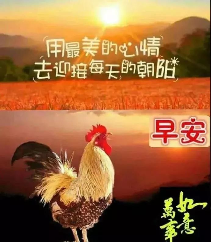 早晨好图片问候语早上好祝福阳光简单句子