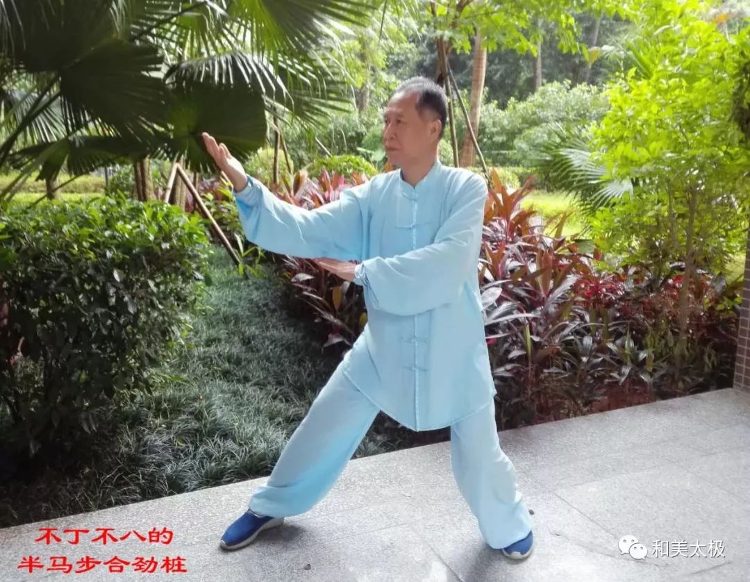半马步与半马步桩,合劲桩,弓步与弓步桩的练法与要领