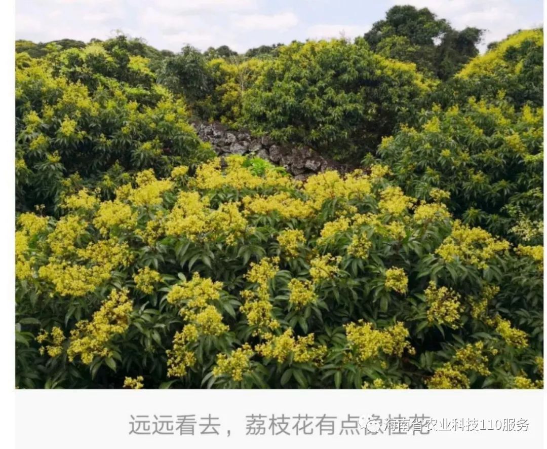 文章配图-3