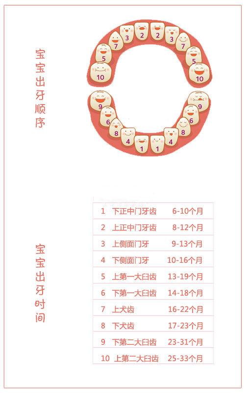 宝宝多大开始出牙 什么时候需要刷牙 牙齿这些事你知道吗?