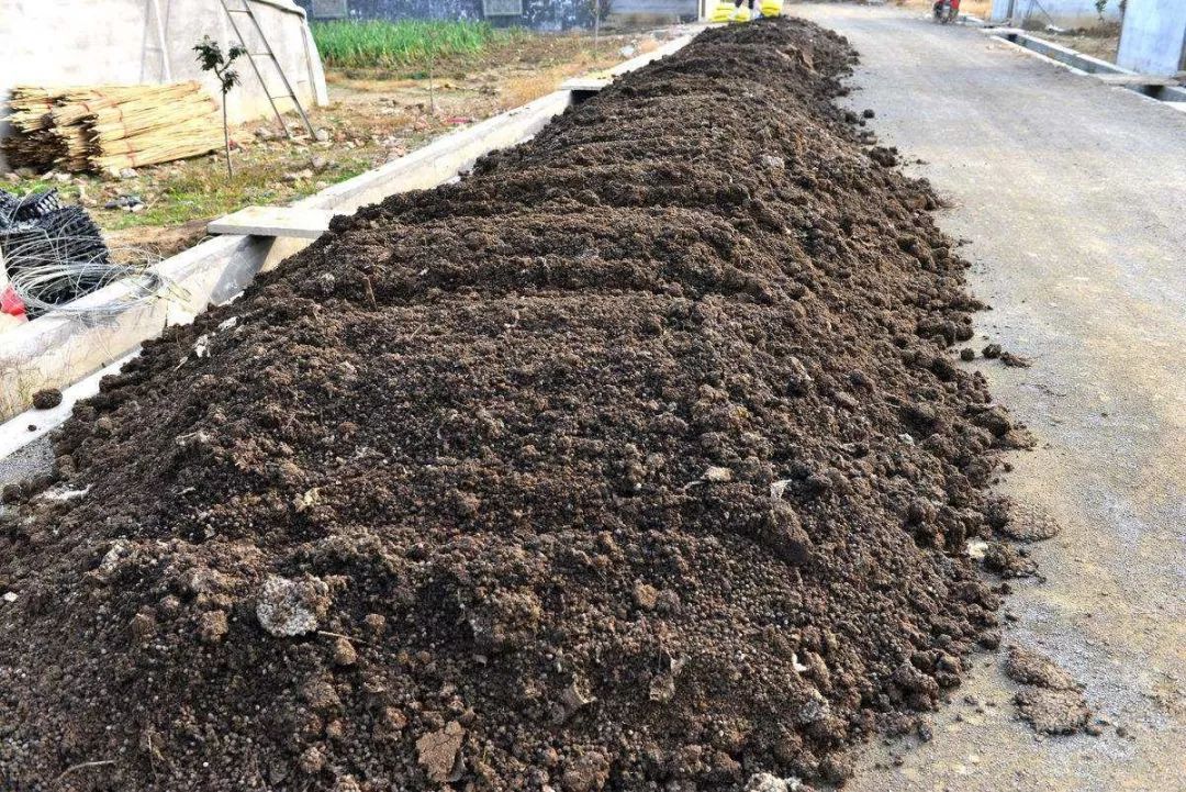 为什么不提倡施用农家肥主要的原因有5个