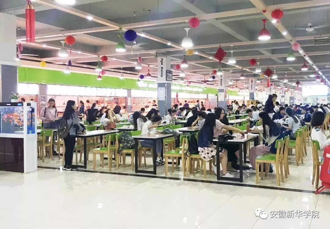 华园vlog主播带你逛安徽新华学院美味食堂