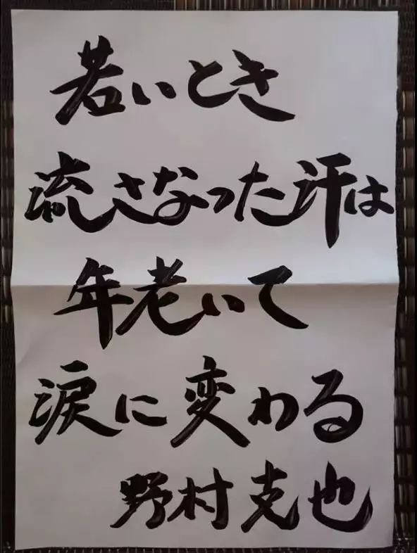 927e1ed8d96a4d74a07f56178b216e6f.jpeg