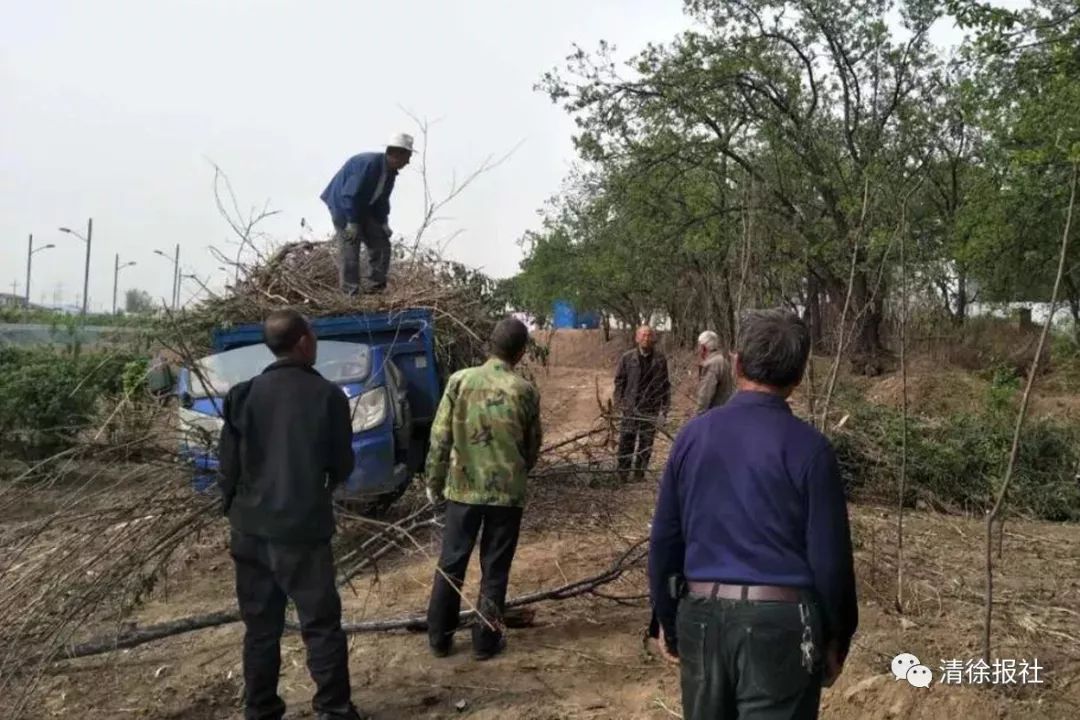 清徐南青堆俩老汉摽着膀子一起干村民齐齐赞