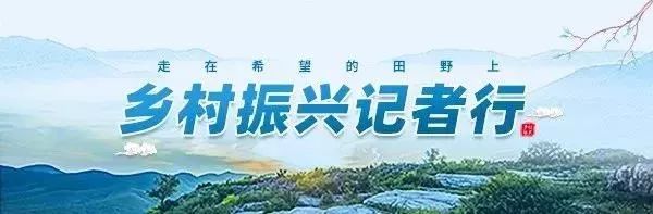 投资45万元!“许昌十二贤士”慕甲荣的后人做了这件事…… 澳博娱乐场