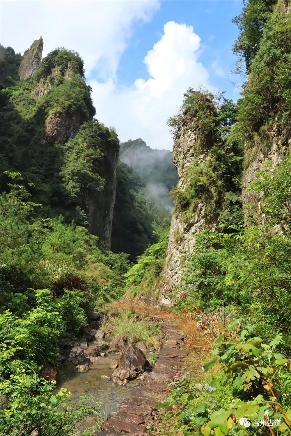 有楠洋百草园(13公里),太平岩景区(14公里),豫樟村漂流(17公里),永嘉