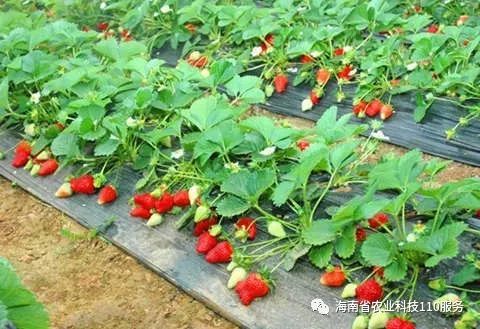 文章配图-5