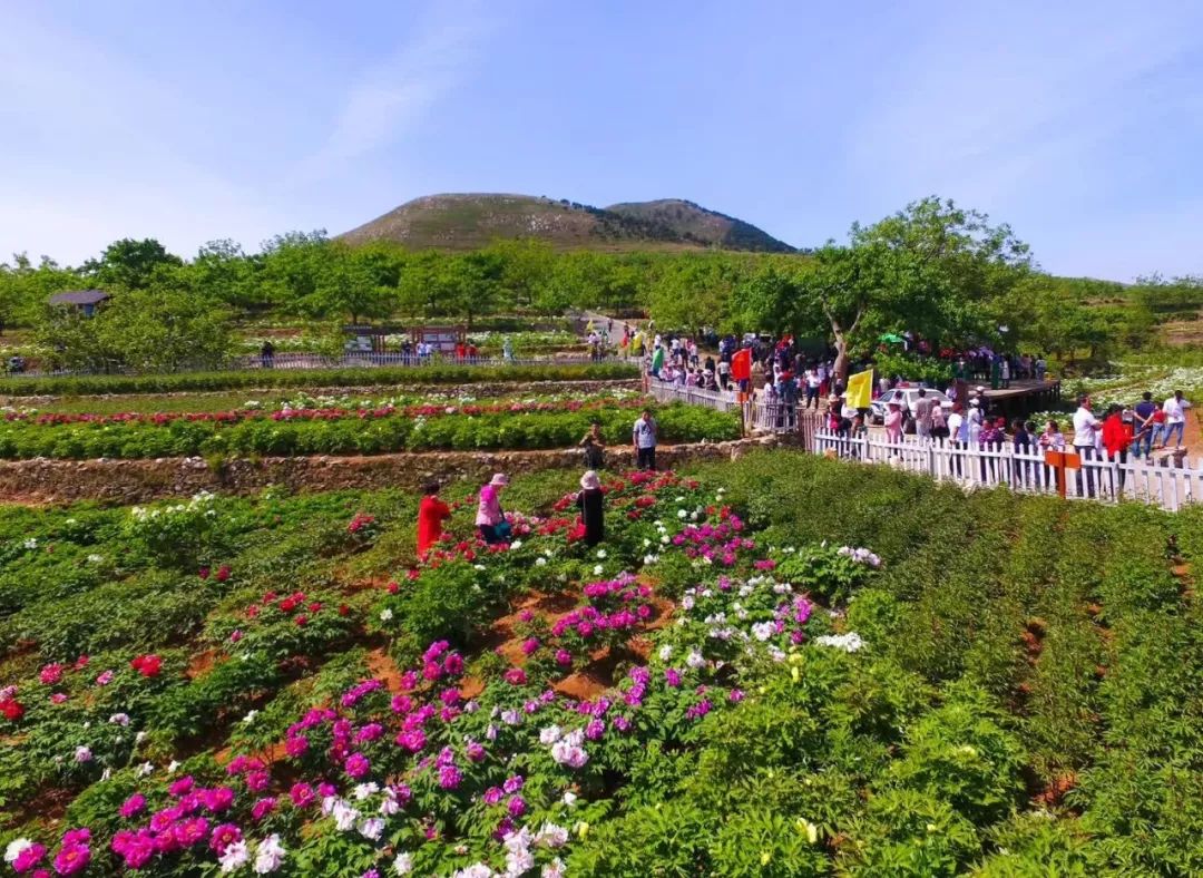 花乡人口_花乡奥莱村品牌分布图