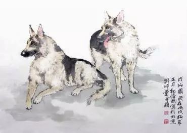 属狗2019是什么命