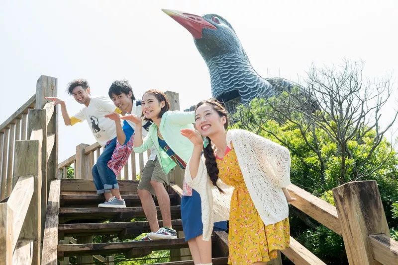 台湾小伙伴有约,海上恋爱巴士见!海峡两岸七