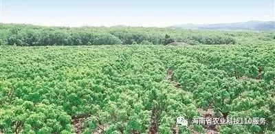 文章配图-2