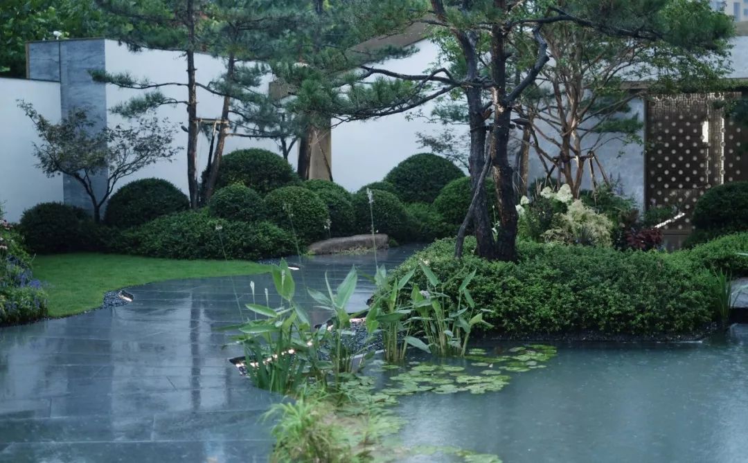 石头记:落雨声皆看化 | 龙湖葛洲坝 · 景粼天著