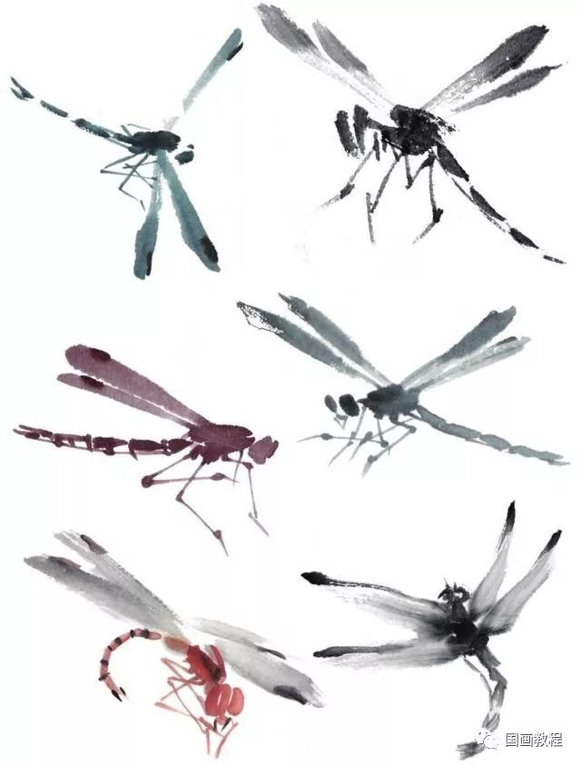 国画教程蜻蜓蝗虫的简单画法