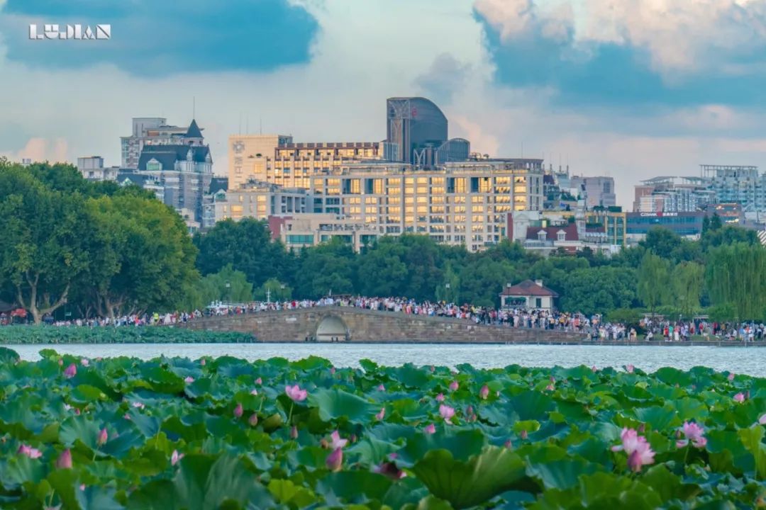 西湖太美，無論春夏秋冬，有幾個景點總是人山人海 旅遊 第9張