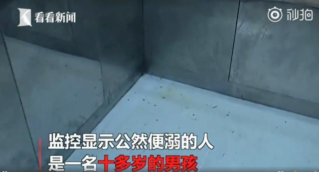 孩子憋不住,就可以随地大小便?造成影响比我们想象严重 乐博百万游戏登陆网