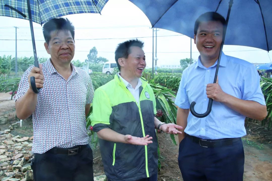 仲恺农业工程学院刘义存博士(中,遂溪县副县长阚生波(右,遂溪县农业