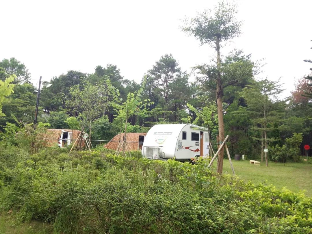 【摩登家庭第七季】向往的日子-摩登家庭山野