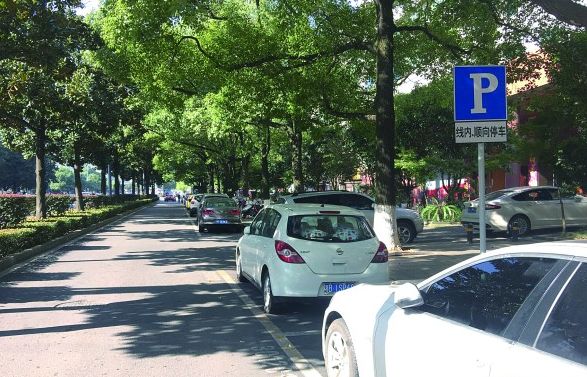 收费站可以临时停车 0521c10245c34f7ca408e0cdc988b7f1.jpeg