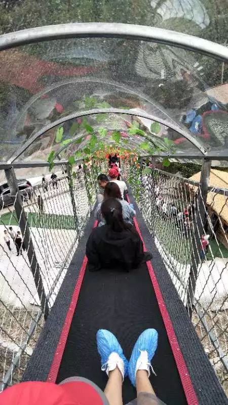 景区地址:导航