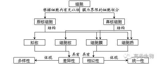 高中生物必修一概念图,值得收藏!_细胞