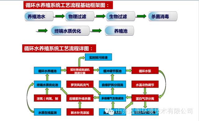 鱼菜高一文弄懂循环水养殖系统ras