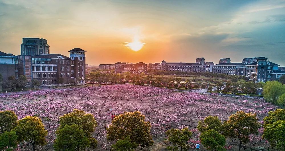 上海中医药大学