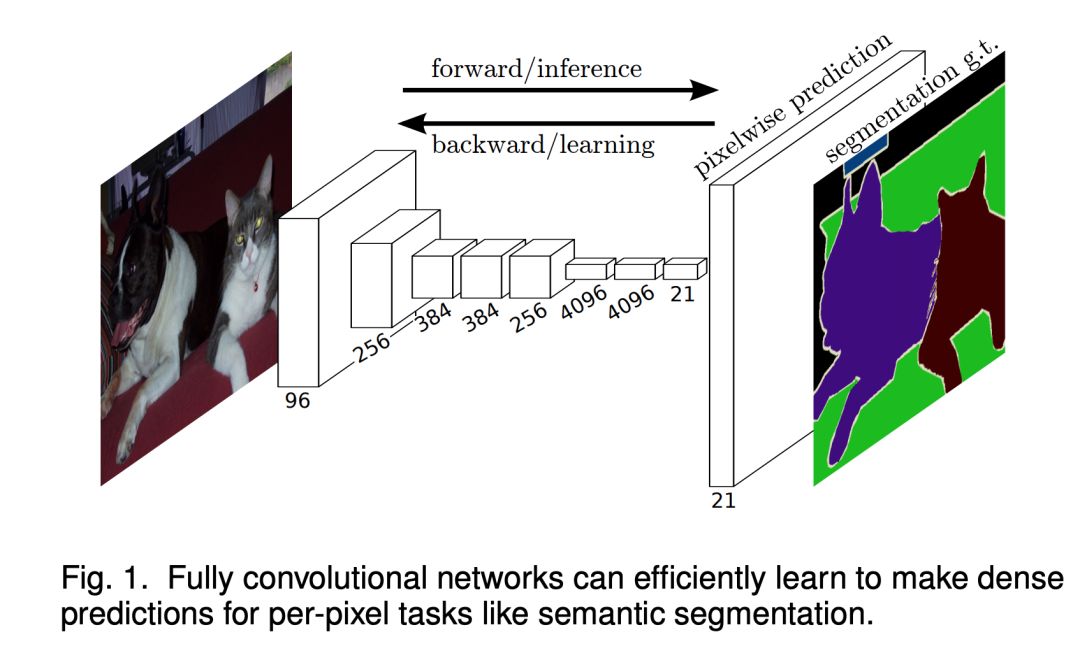 9102年了,语义分割的入坑指南和最新进展都是
