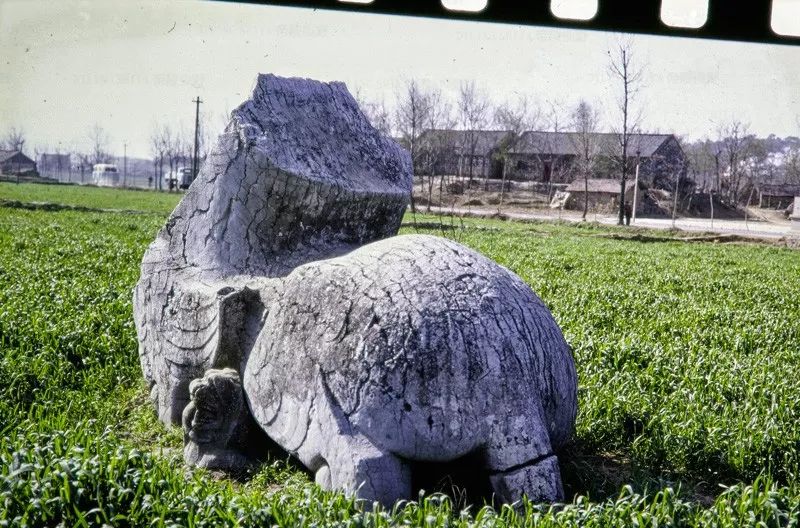 帝陵视野八十年代的南朝陵墓石刻