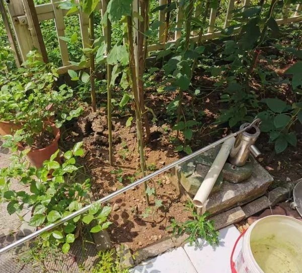 7旬老人小区里打“井”用水冷式空调,你们觉得他违规了吗?