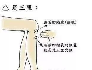 什么穴位健脾胃 4fdcf78ccd3e448f97c86a6a72d4c8ad.jpeg