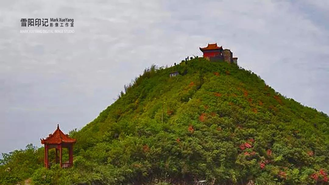 南岳七十二峰【渌口音韵】 | 周盘百里凤凰山 秀美林场新能源