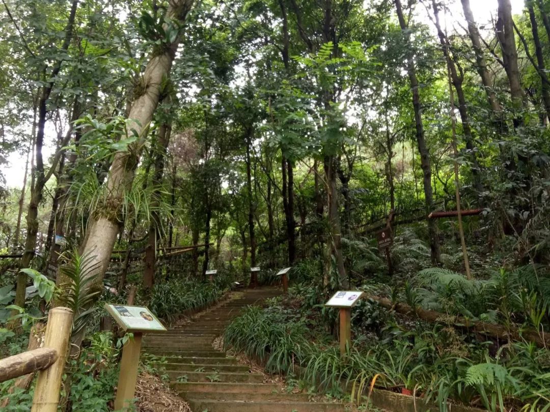 【摩登家庭第七季】向往的日子-摩登家庭山野