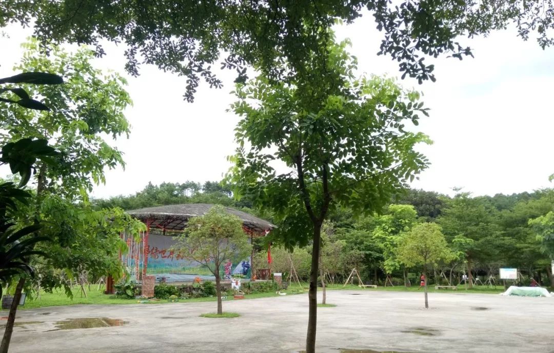 【摩登家庭第七季】向往的日子-摩登家庭山野