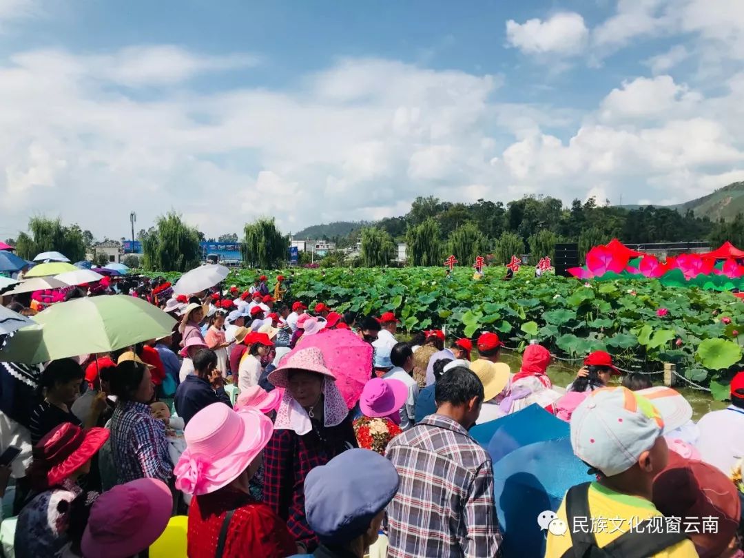 彝山欢歌庆佳节楚雄姚安成功举办2019荷花节