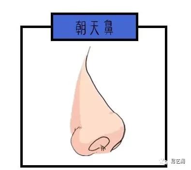 人口鼻漏_人口普查