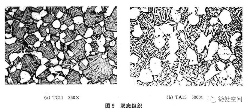 钛合金金相术语及图谱10例