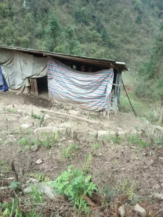 这是哪条人用沅陵张家坪话写了一首原滋原味的诗,膜拜