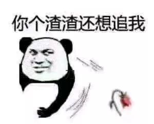 熊猫头表情包 | 你个渣渣还想追我?