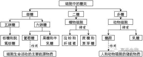 高中生物必修一概念图,值得收藏!_细胞