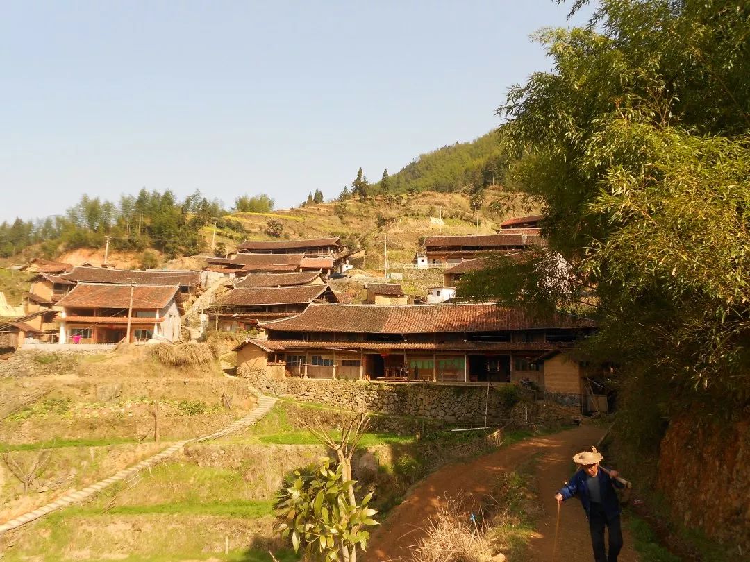 民宿热 畲味浓 泰顺司前畲族镇乡村旅游发展正当时