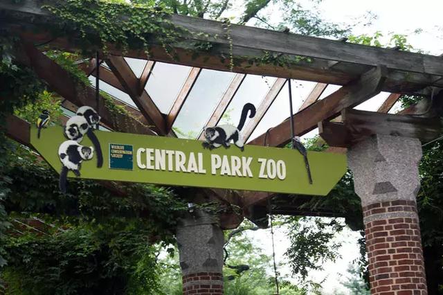小巧精致的中央公园动物园中央公园动物园非常小,是一个迷你动物园