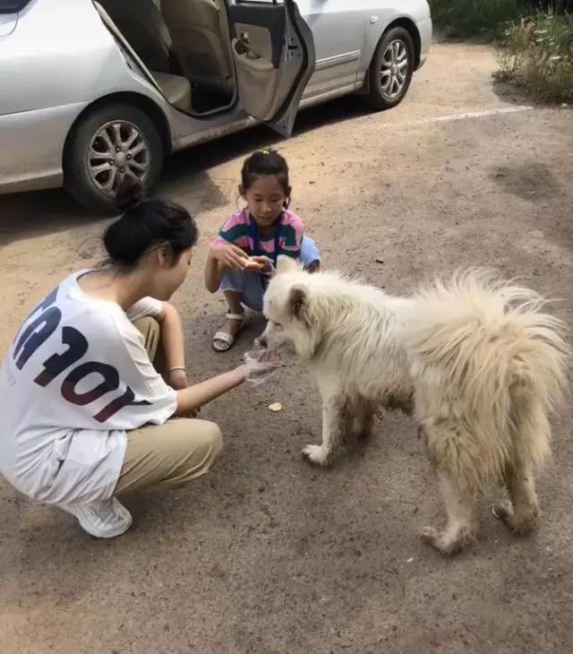 在路边看到一只流浪狗,并给狗狗喂了一点食物和奶.